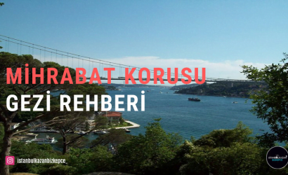 Mihrabat Korusu Gezi Yazısı / Nerede ? 4 MİHRABAT KORUSU GEZİ REHBERİ